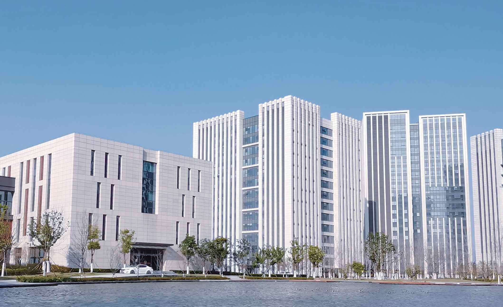 青田茶叶专业合作社